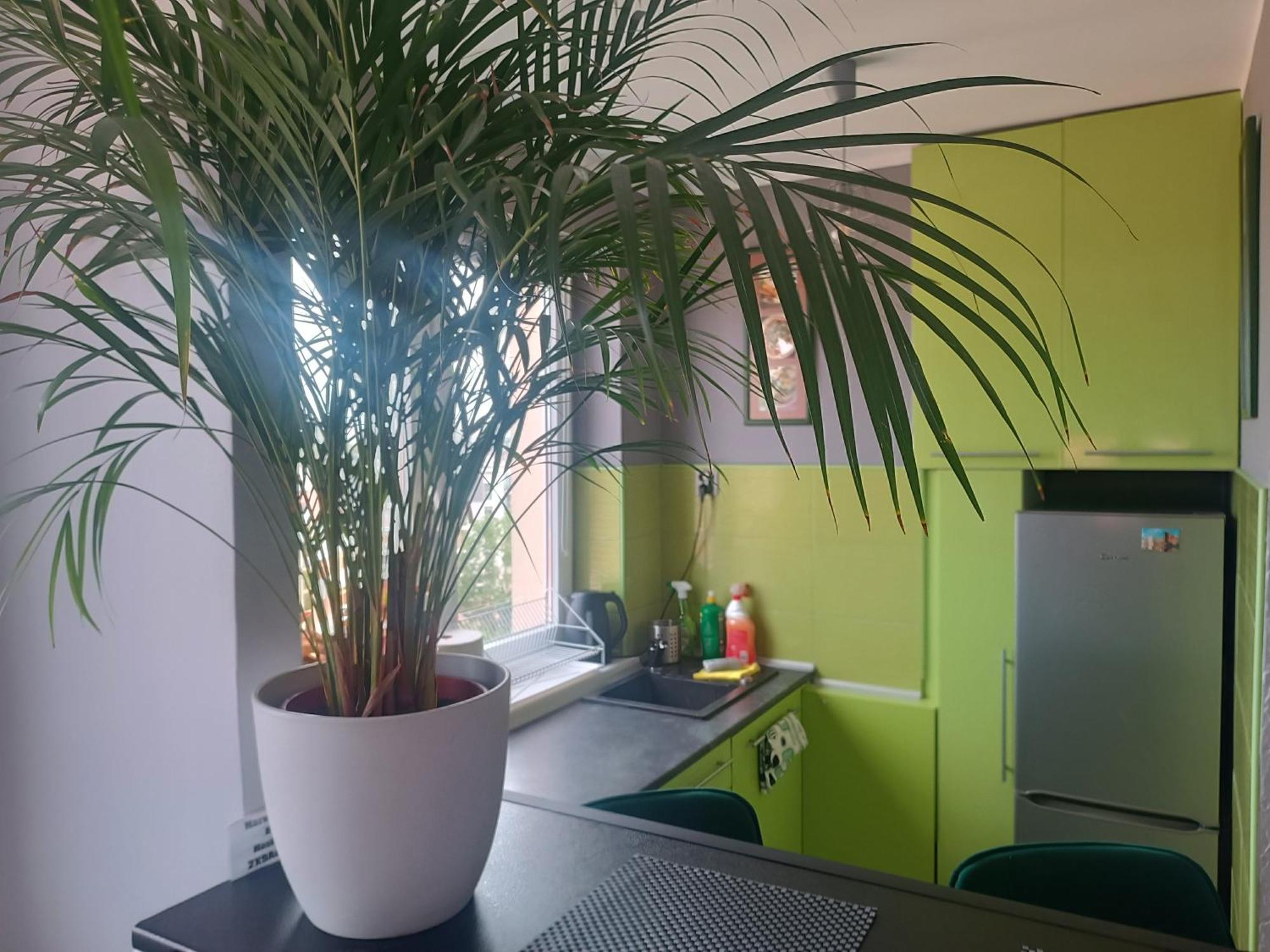 Apartament Dlugie Ogrody 2 Pokojowy Gdańsk Exterior foto
